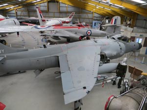 Harrier Day